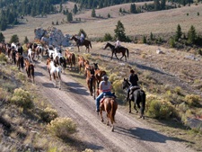 USA-Idaho-Medicine Lodge Horse Drive